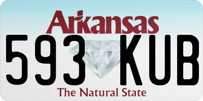 AR license plate 593KUB