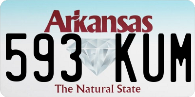 AR license plate 593KUM