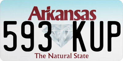 AR license plate 593KUP