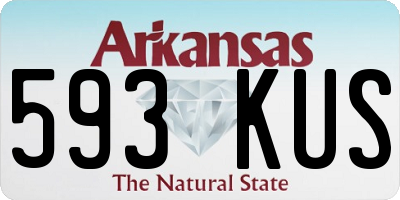 AR license plate 593KUS