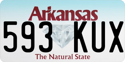 AR license plate 593KUX