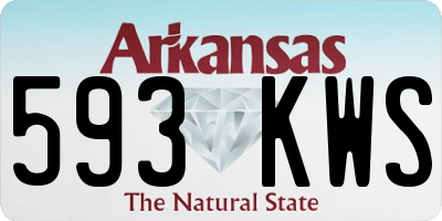 AR license plate 593KWS