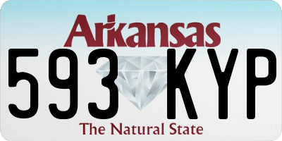AR license plate 593KYP