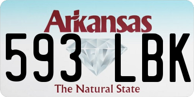 AR license plate 593LBK