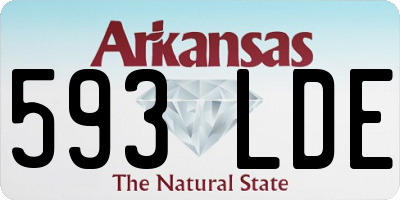 AR license plate 593LDE