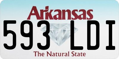 AR license plate 593LDI