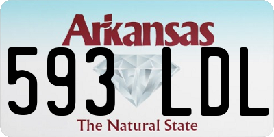AR license plate 593LDL