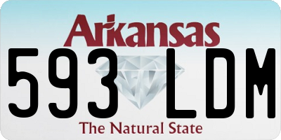 AR license plate 593LDM