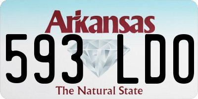AR license plate 593LDO