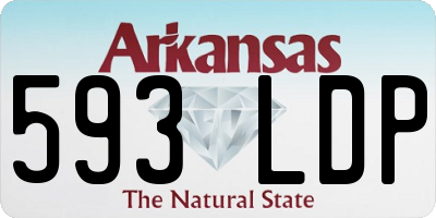 AR license plate 593LDP