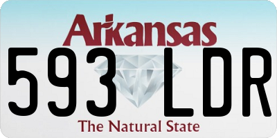 AR license plate 593LDR
