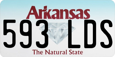 AR license plate 593LDS