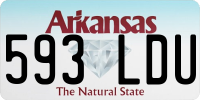 AR license plate 593LDU