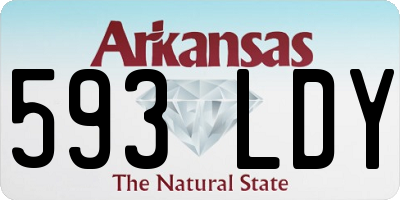 AR license plate 593LDY