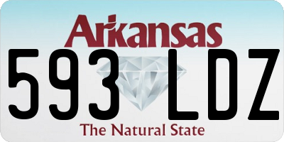 AR license plate 593LDZ