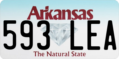 AR license plate 593LEA