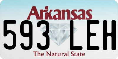 AR license plate 593LEH