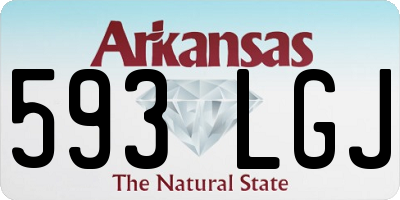 AR license plate 593LGJ