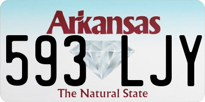 AR license plate 593LJY