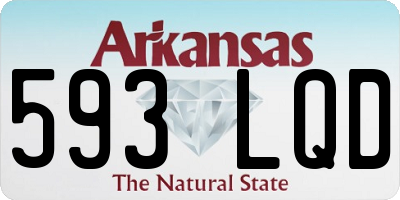AR license plate 593LQD