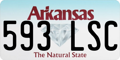AR license plate 593LSC