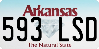 AR license plate 593LSD