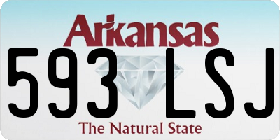 AR license plate 593LSJ