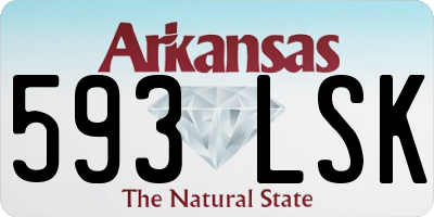 AR license plate 593LSK