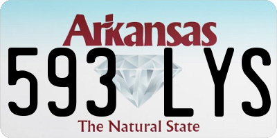 AR license plate 593LYS