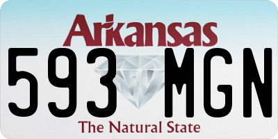 AR license plate 593MGN