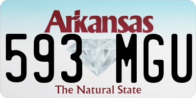 AR license plate 593MGU