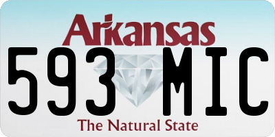 AR license plate 593MIC