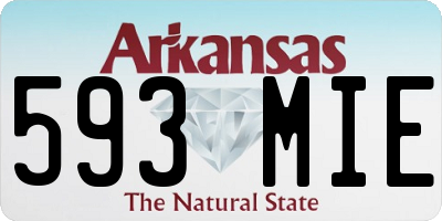 AR license plate 593MIE