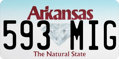 AR license plate 593MIG