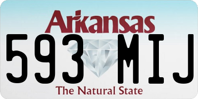 AR license plate 593MIJ