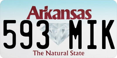 AR license plate 593MIK