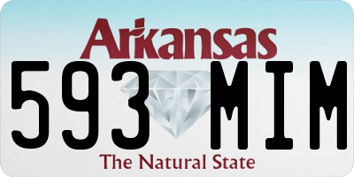 AR license plate 593MIM