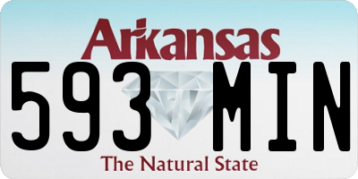 AR license plate 593MIN