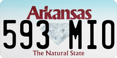 AR license plate 593MIO