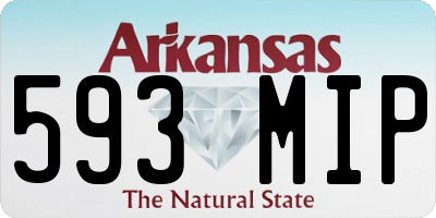 AR license plate 593MIP