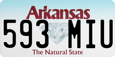 AR license plate 593MIU