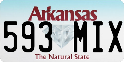AR license plate 593MIX