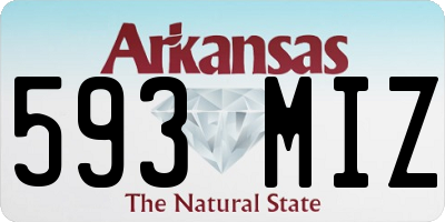 AR license plate 593MIZ