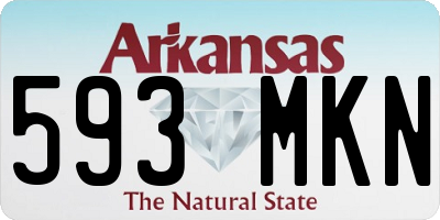 AR license plate 593MKN