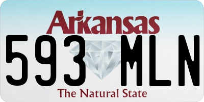 AR license plate 593MLN