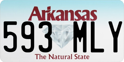 AR license plate 593MLY