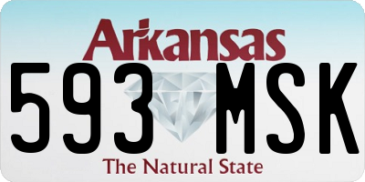 AR license plate 593MSK