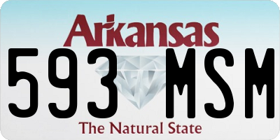 AR license plate 593MSM