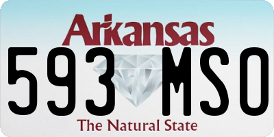 AR license plate 593MSO
