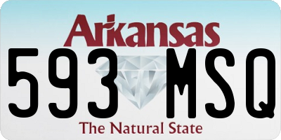 AR license plate 593MSQ